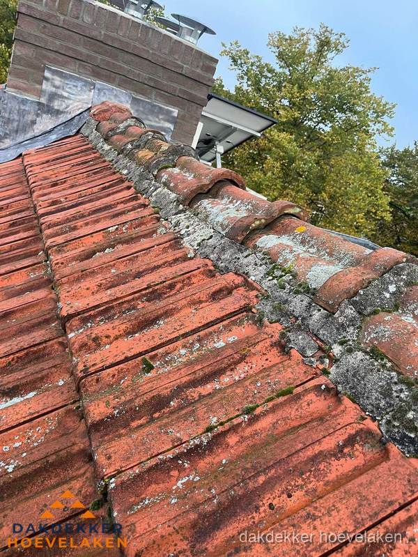 Verweerd hellend dak met mosgroei op nokvorst in Hoevelaken Verweerd hellend dak met mosgroei op nokvorst in Hoevelaken